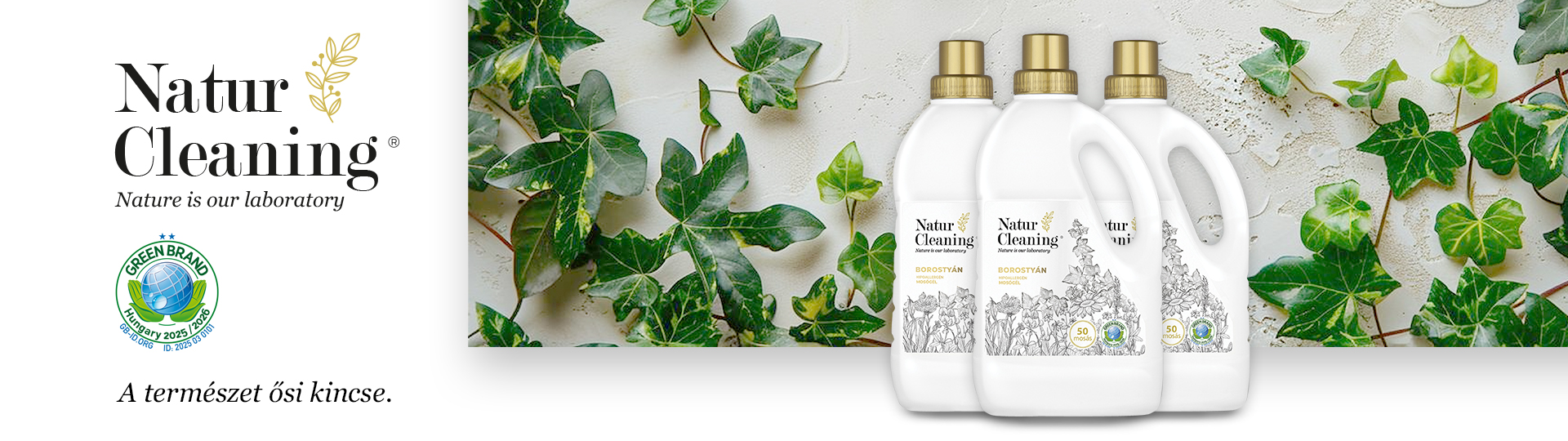 Borostyan Friss – Naturcleaning banner