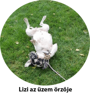 Naturcleaning